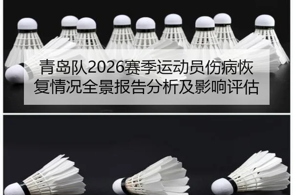 青岛队2026赛季运动员伤病恢复情况全景报告分析及影响评估