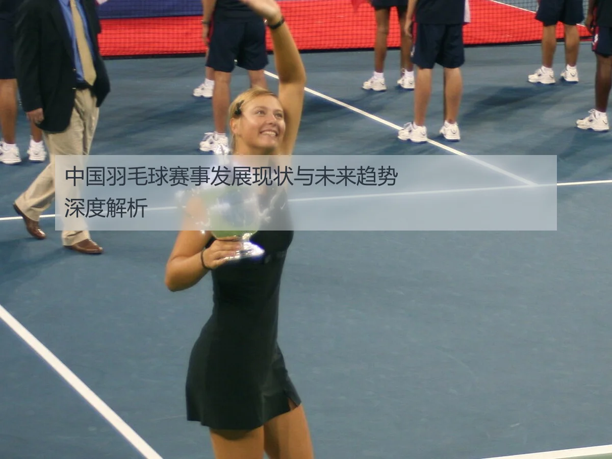 中国羽毛球赛事发展现状与未来趋势深度解析